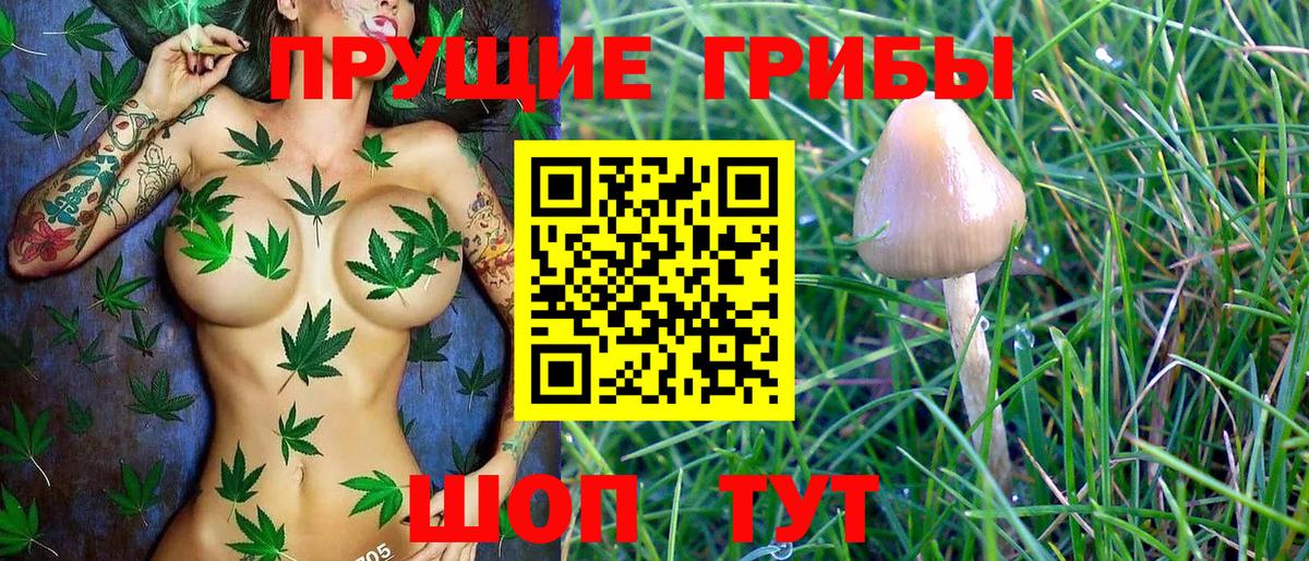 цены   Псилоцибиновые грибы мухоморы  Вход с VPN  Моршанск 
