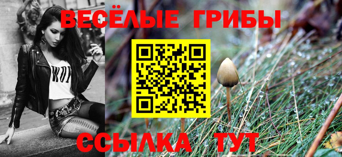Псилоцибиновые грибы ЛСД Моршанск